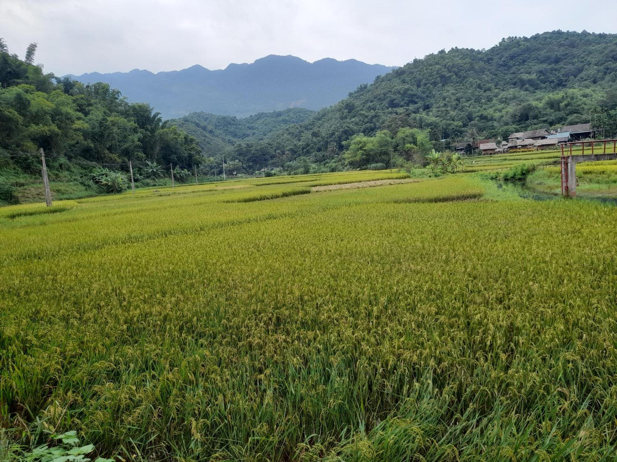 Thao Ly Homestay Mai Chau Hoa Binh Exterior photo