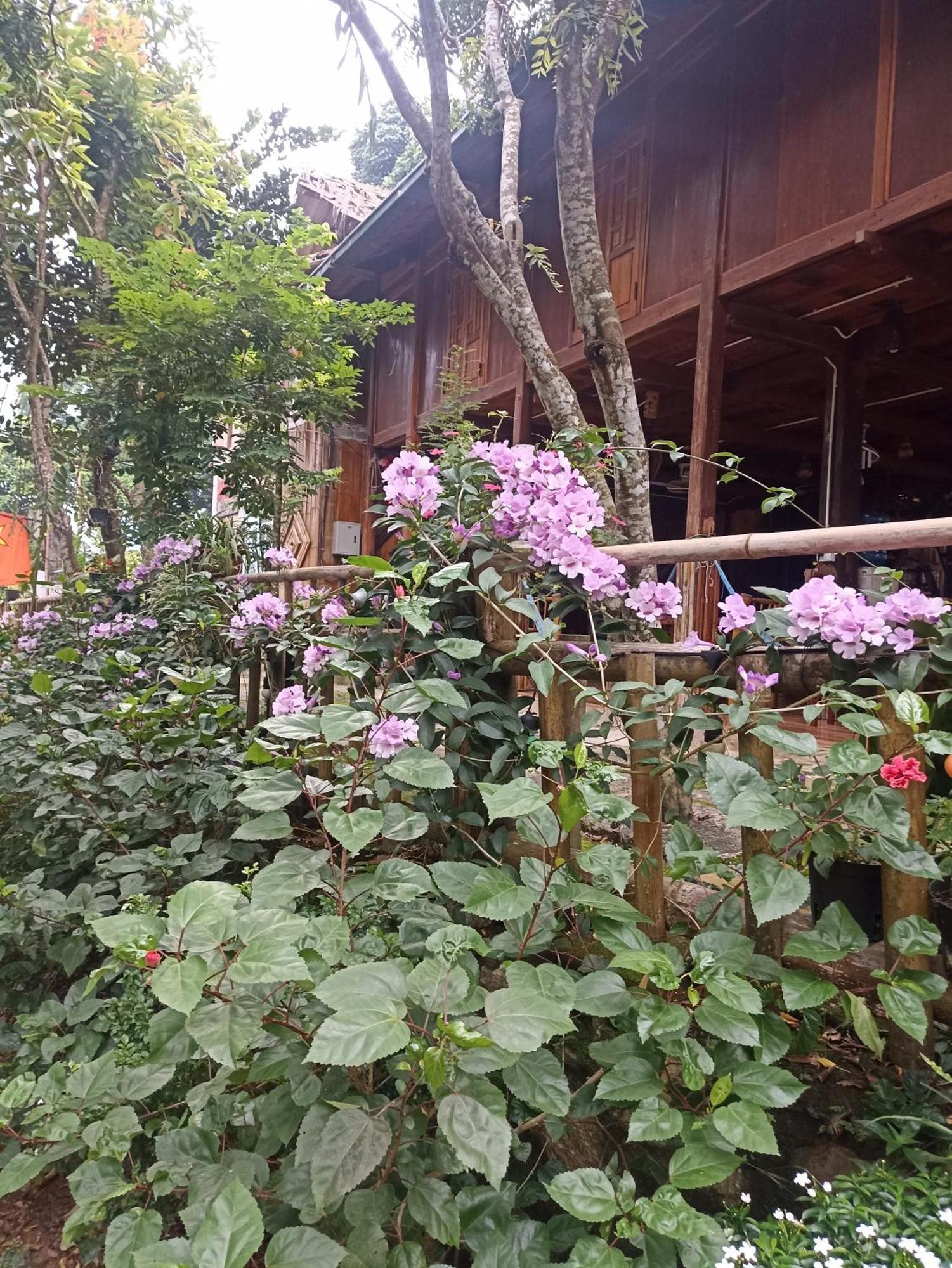 Thao Ly Homestay Mai Chau Hoa Binh Exterior photo